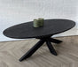 Salontafel ovaal mangohout zwart Sandblasted